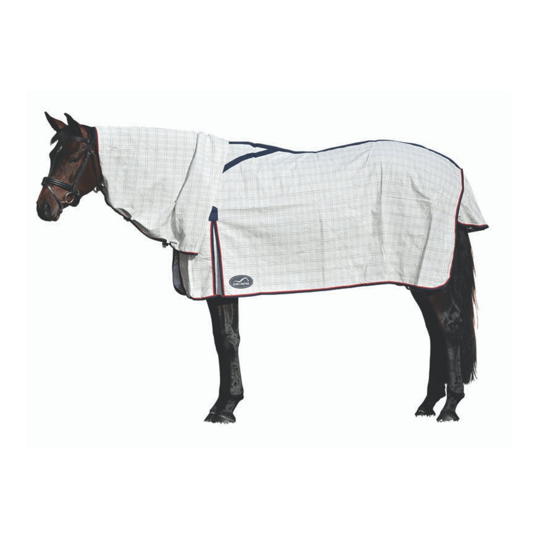 Eurohunter Brisa Combo - Saddleworld Devonport
