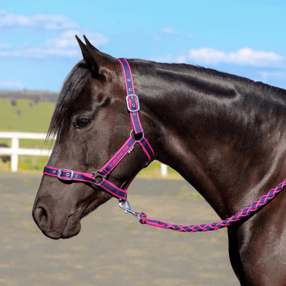 Eurohunter Comfort Halter &amp; Lead Set - Saddleworld Devonport