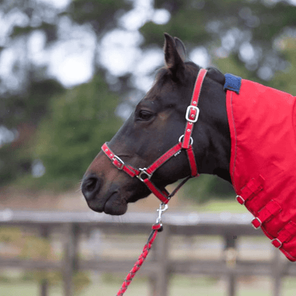 Eurohunter Comfort Halter &amp; Lead Set - Saddleworld Devonport