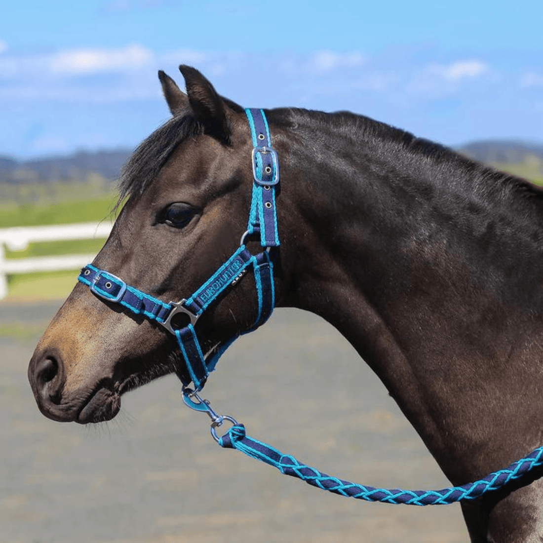 Eurohunter Comfort Halter &amp; Lead Set - Saddleworld Devonport