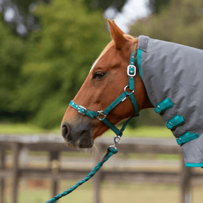 Eurohunter Comfort Halter &amp; Lead Set - Saddleworld Devonport
