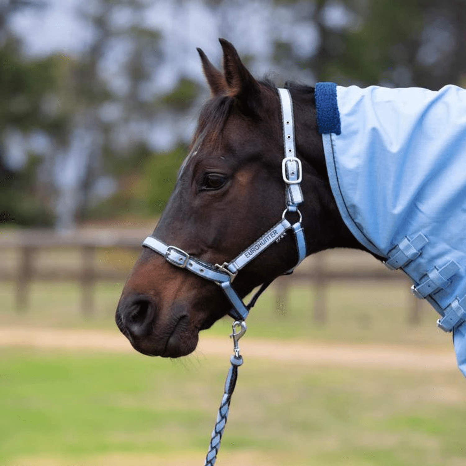 Eurohunter Comfort Halter &amp; Lead Set - Saddleworld Devonport