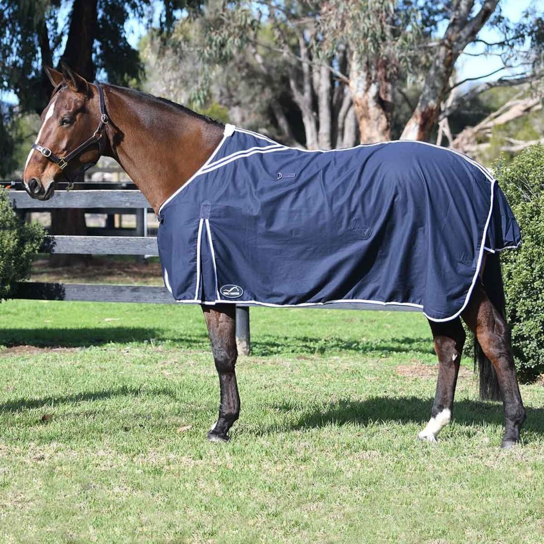 Eurohunter Cotton Show Rug - Saddleworld Devonport