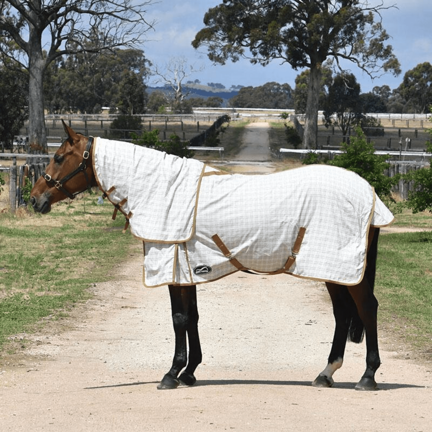 Eurohunter Grand National Crossover Combo - Saddleworld Devonport