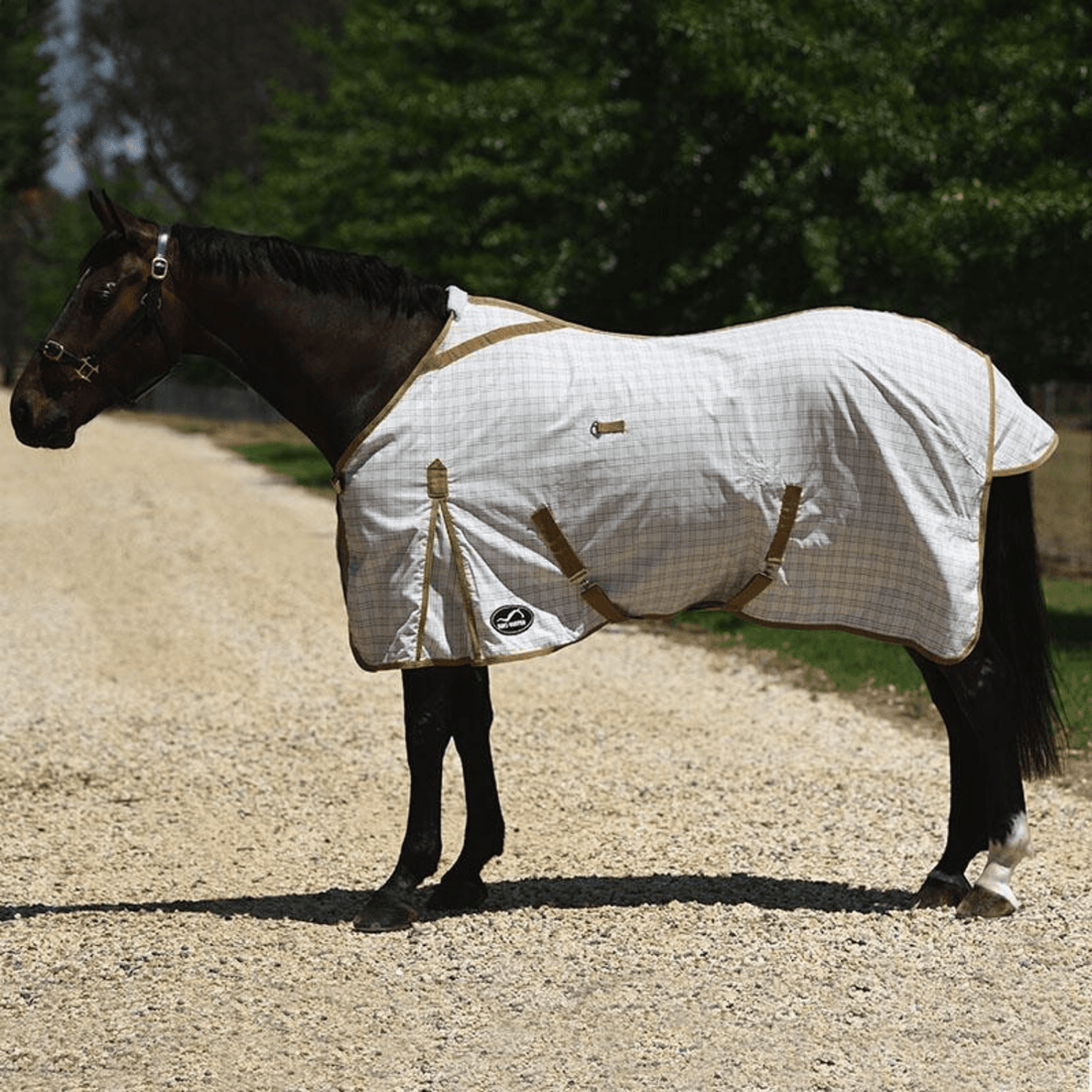 Eurohunter Grand National Crossover Rug - Saddleworld Devonport