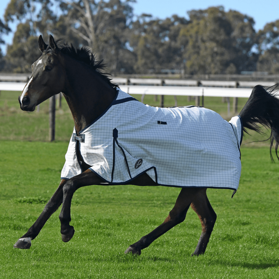 Eurohunter Grand National Deluxe Rug - Saddleworld Devonport