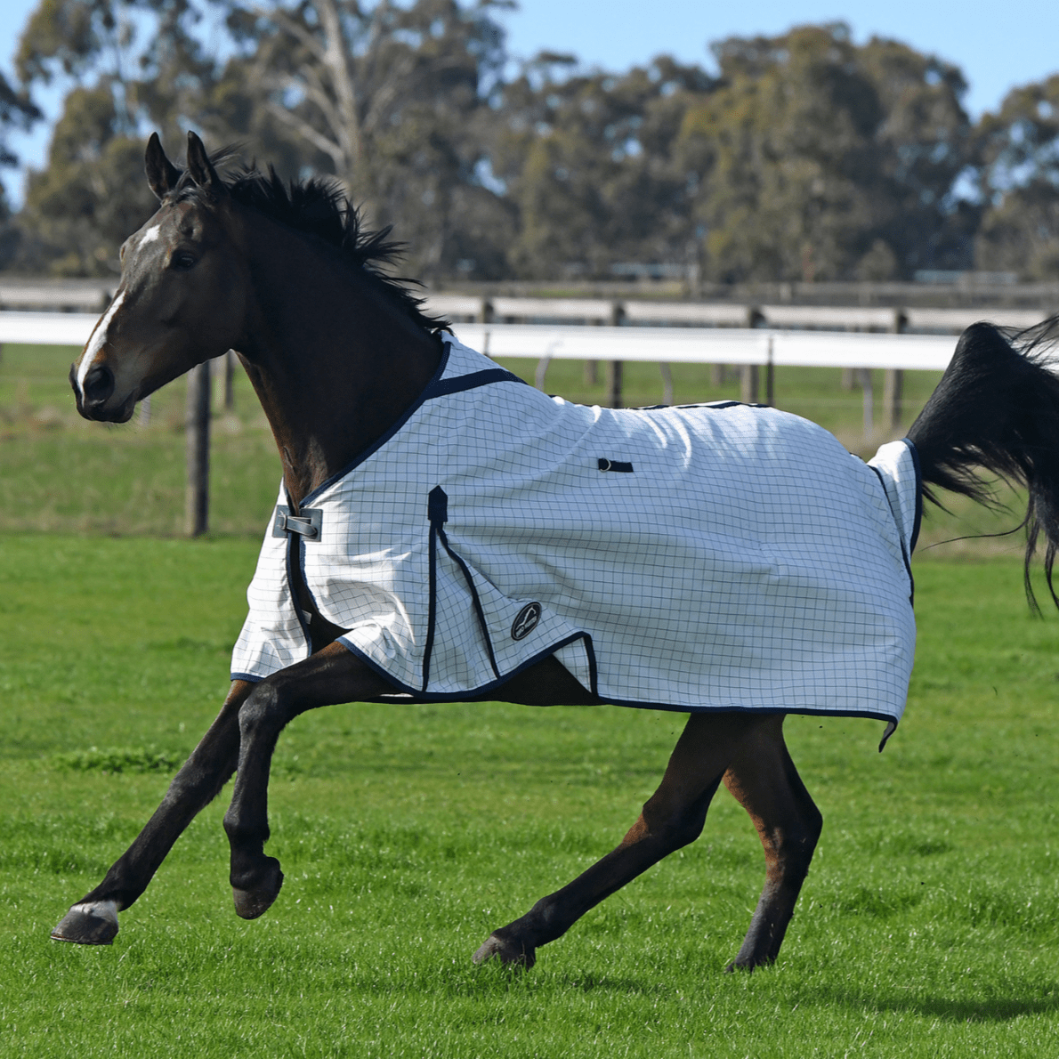 Eurohunter Grand National Deluxe Rug - Saddleworld Devonport