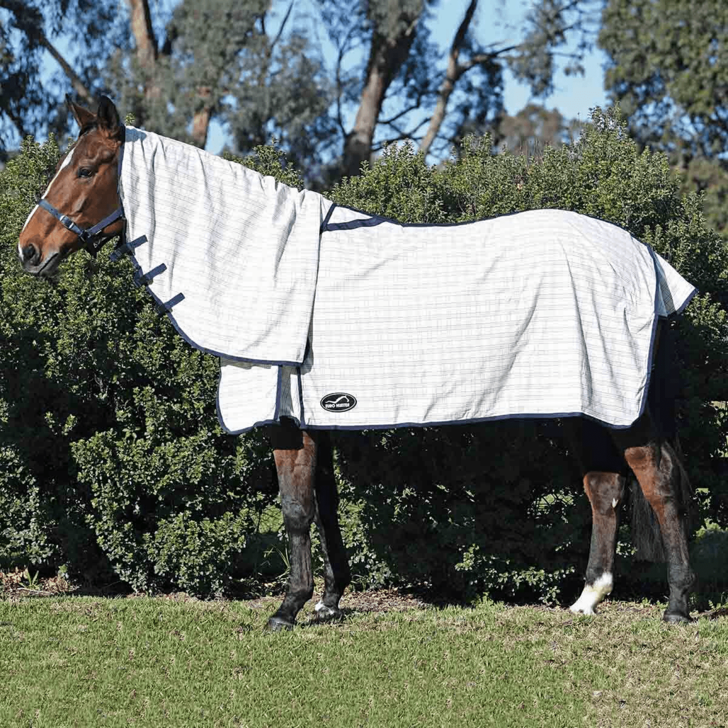 Eurohunter Grand National Light II Combo - Saddleworld Devonport