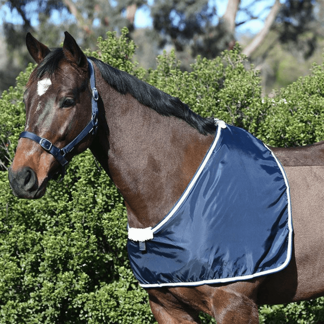 Eurohunter Taffeta Chest Bib - Saddleworld Devonport