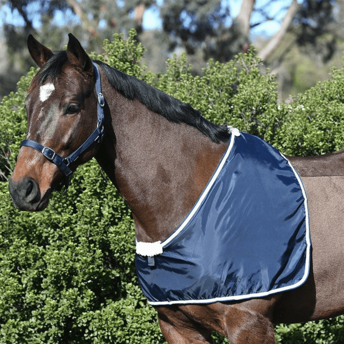 Eurohunter Taffeta Chest Bib - Saddleworld Devonport