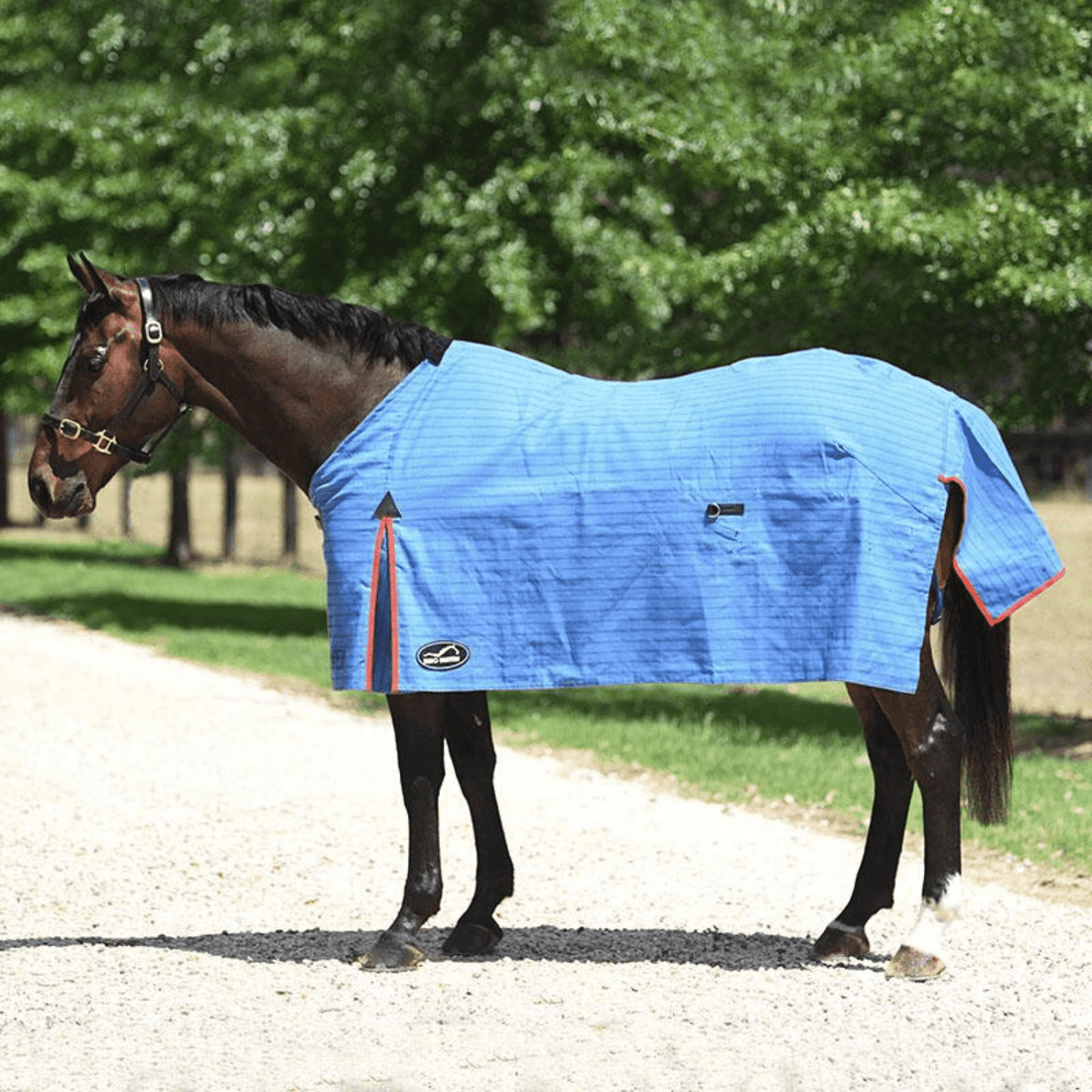 Eurohunter Vancouver Canvas Rug - Saddleworld Devonport