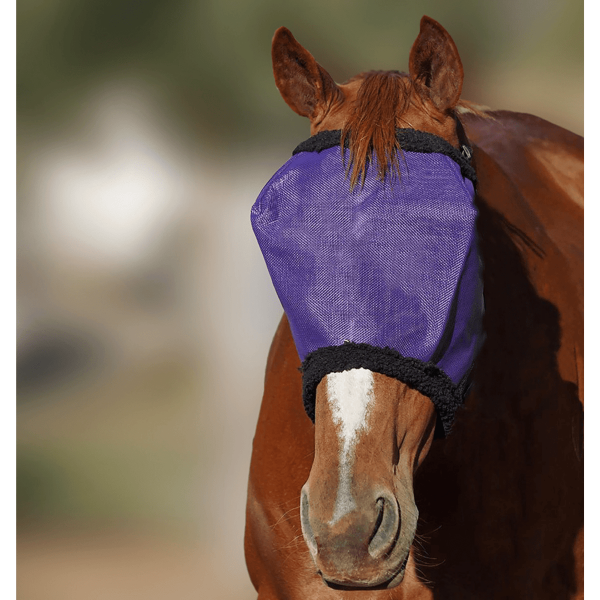FlyVeils by Design Basic Fly Veil with Fleece - Saddleworld Devonport