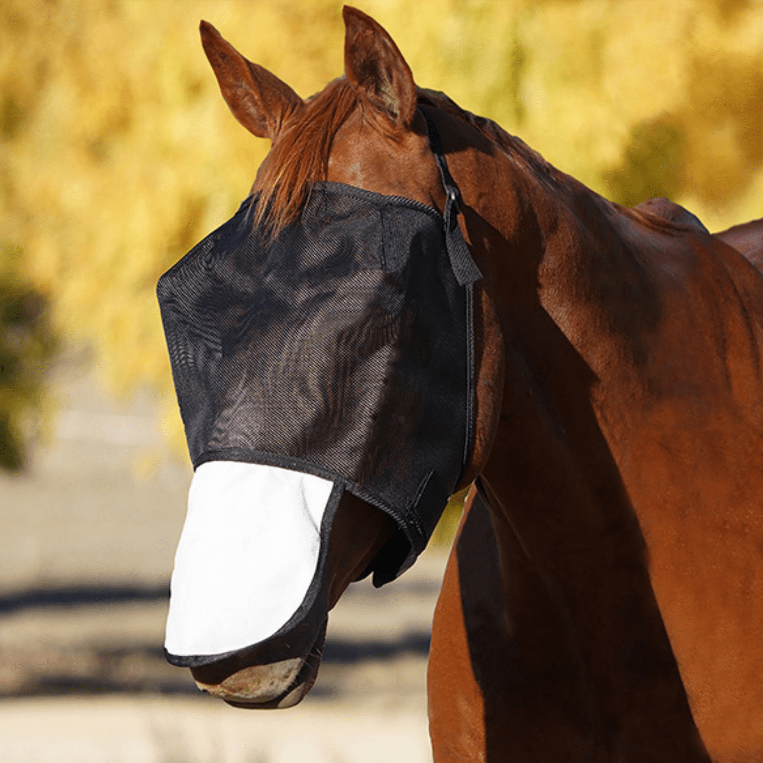 Flyveils by Design Basic Fly Veil with White Nose - Saddleworld Devonport