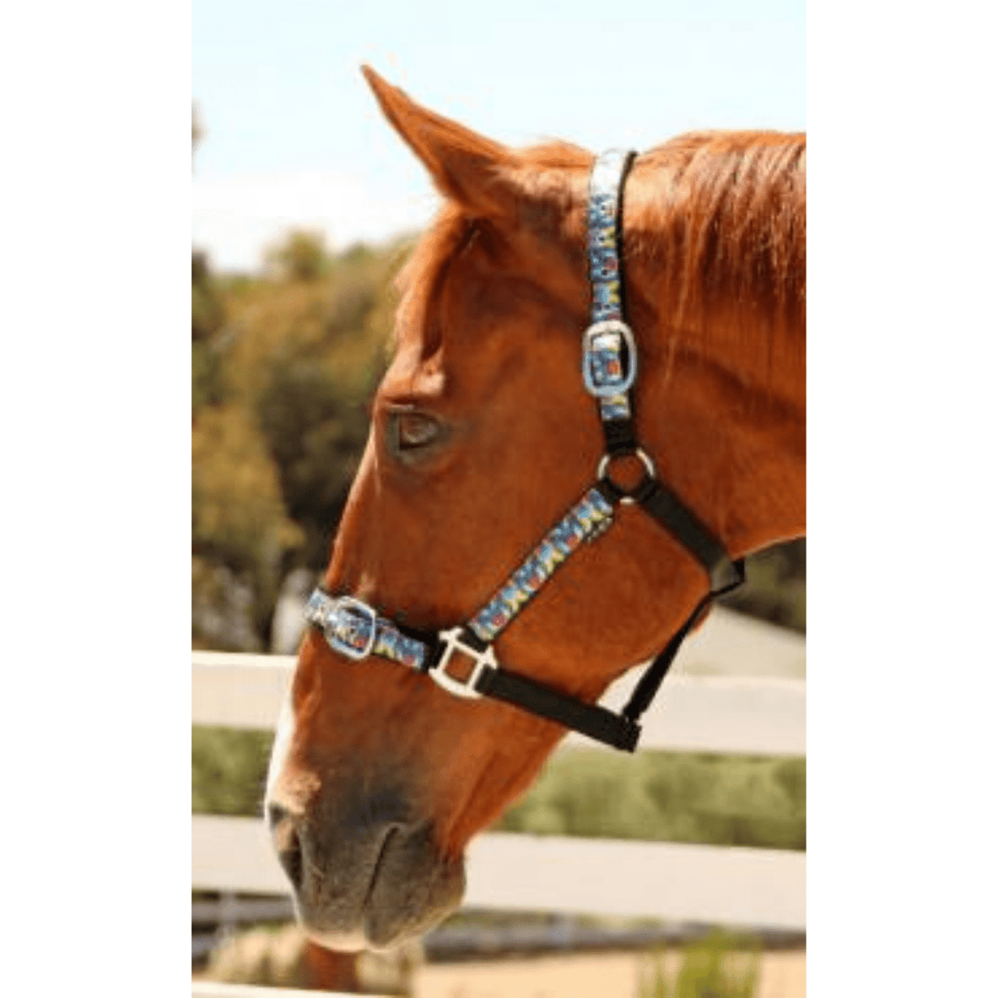 Higgins Halter - Saddleworld Devonport