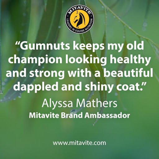 Mitavite Gumnuts 20KG - Saddleworld Devonport
