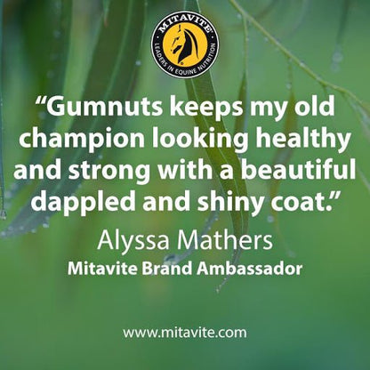 Mitavite Gumnuts 20KG - Saddleworld Devonport