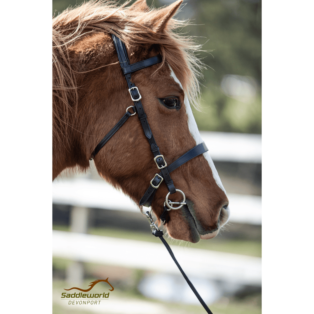 Pee Wee Bit - Mullen Mouth Snaffle - Saddleworld Devonport