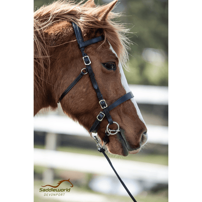 Pee Wee Bit - Mullen Mouth Snaffle - Saddleworld Devonport
