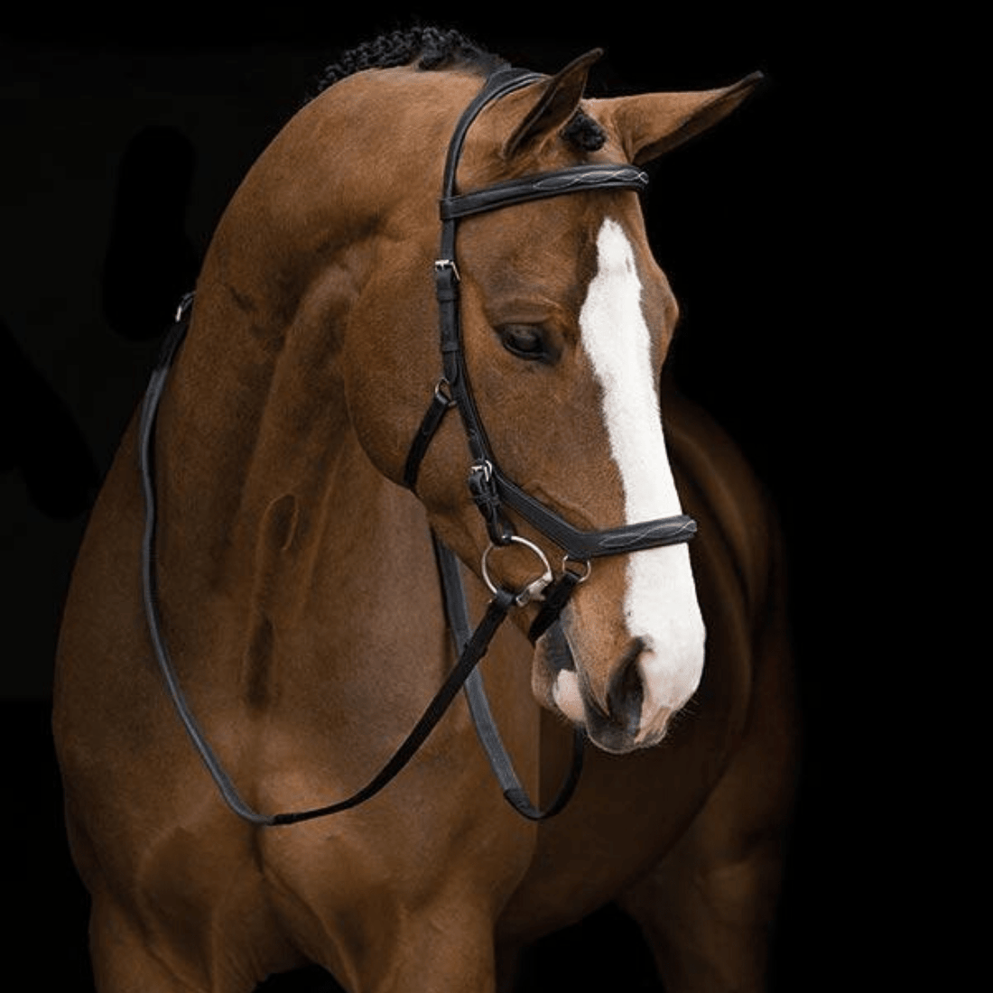 Rambo Micklem Deluxe Competition Bridle - Saddleworld Devonport