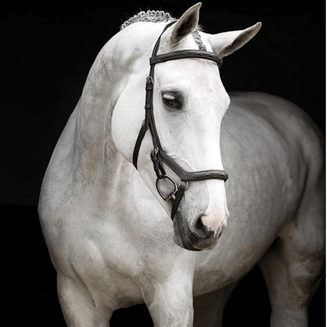 Rambo Micklem Deluxe Competition Bridle - Saddleworld Devonport