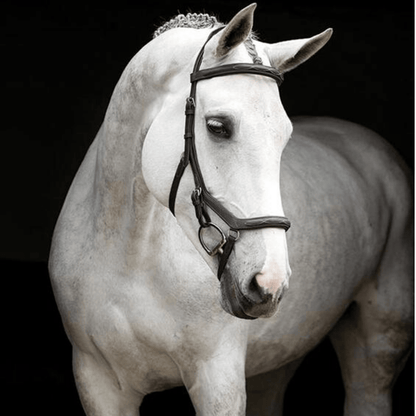 Rambo Micklem Deluxe Competition Bridle - Saddleworld Devonport