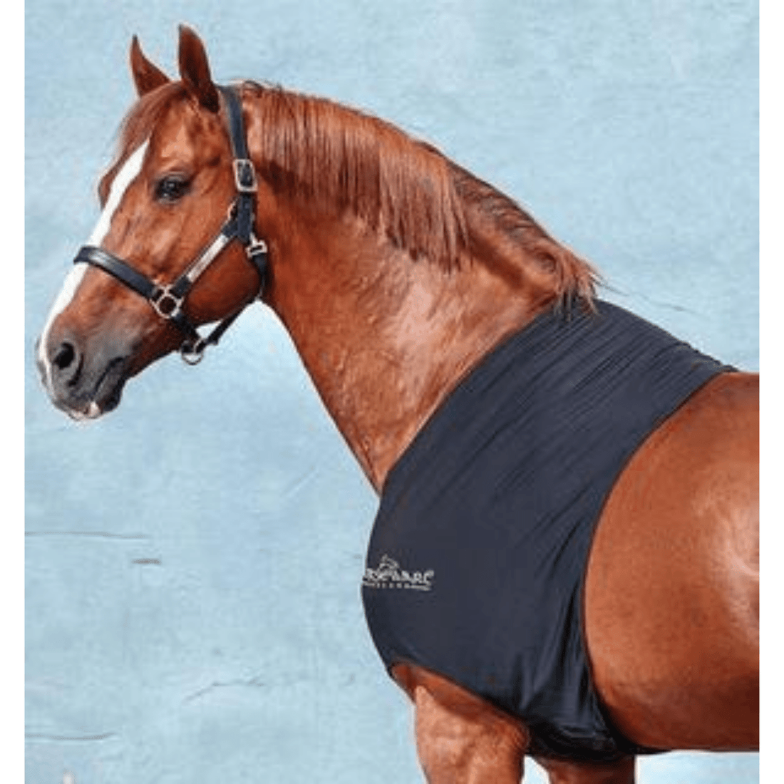 Rambo Slinky Shoulder Guard - Saddleworld Devonport