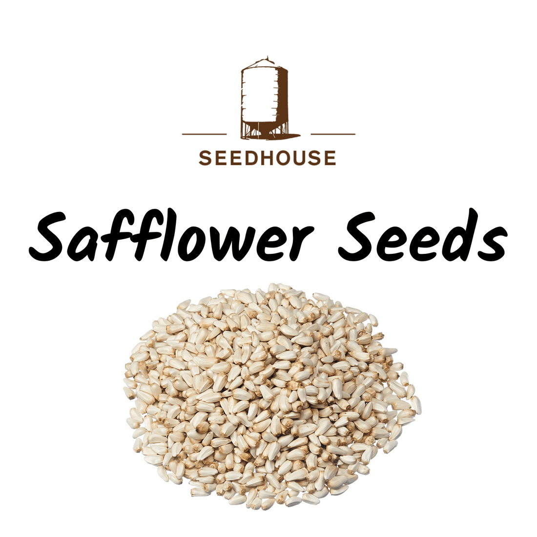 SEEDHOUSE SAFFLOWER SEEDS 20KG - Saddleworld Devonport