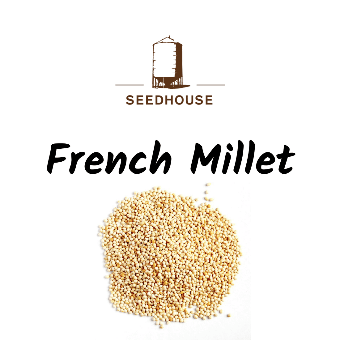 SEEDHOUSE WHITE FRENCH MILLET 20KG - Saddleworld Devonport