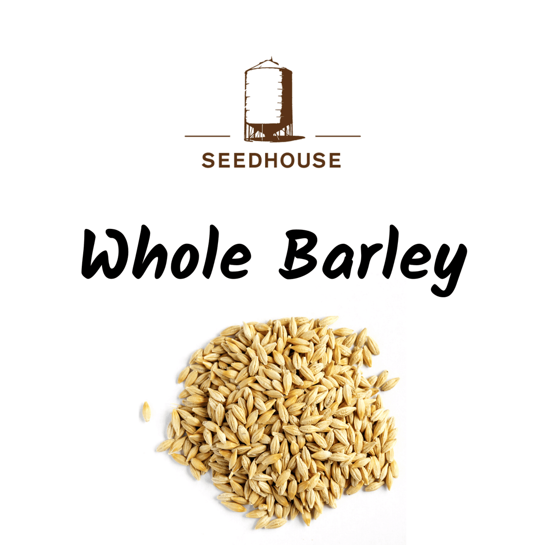 Seedhouse Whole Barley 20kg - Saddleworld Devonport