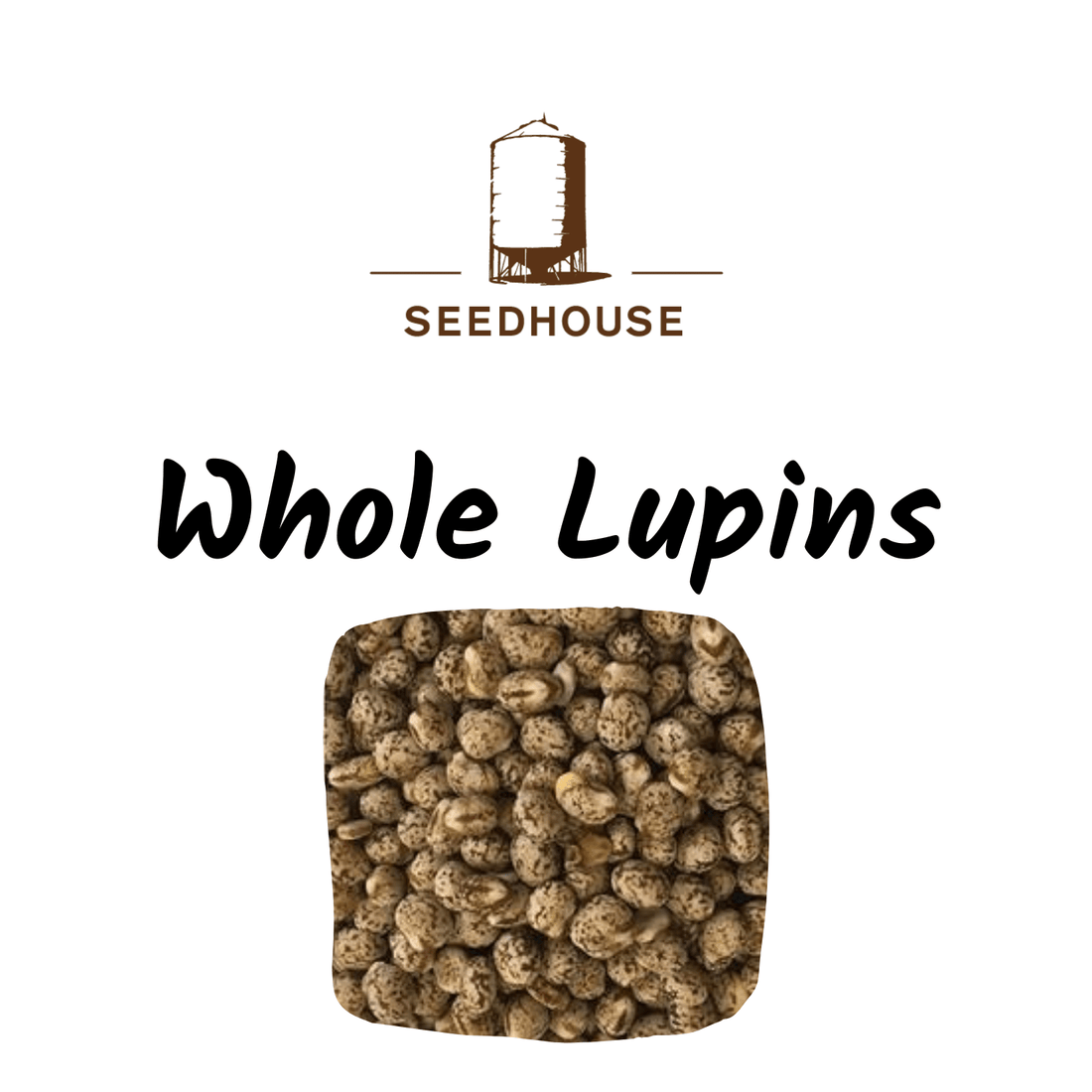 Seedhouse Whole Lupins 20kg - Saddleworld Devonport