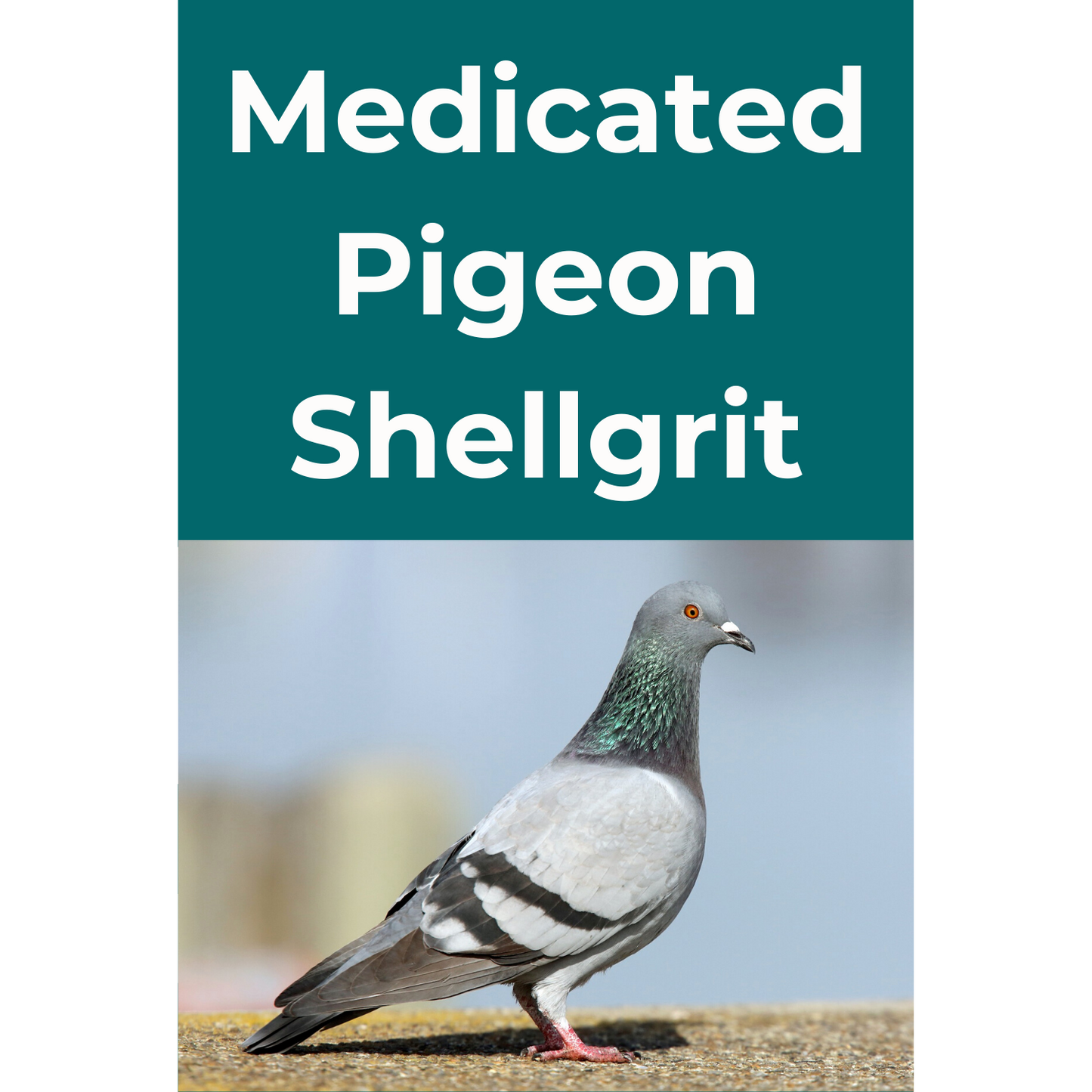 Medicated Pigeon Shellgrit