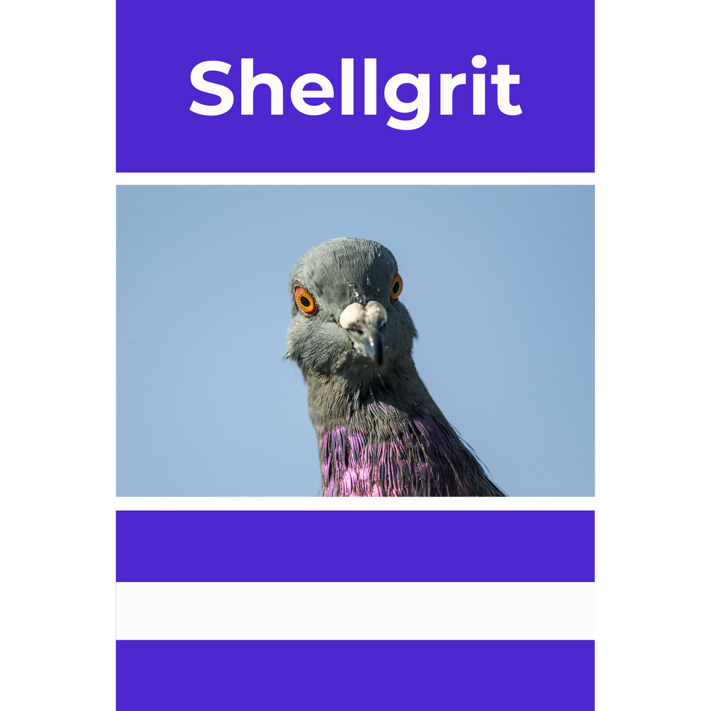 Shellgrit