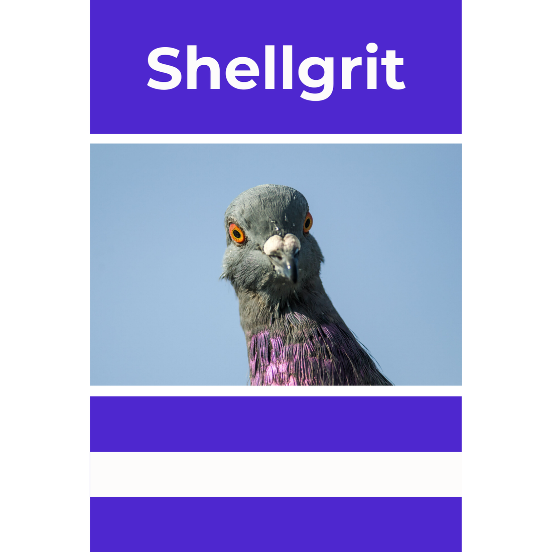 Medium Shell Grit 20kg