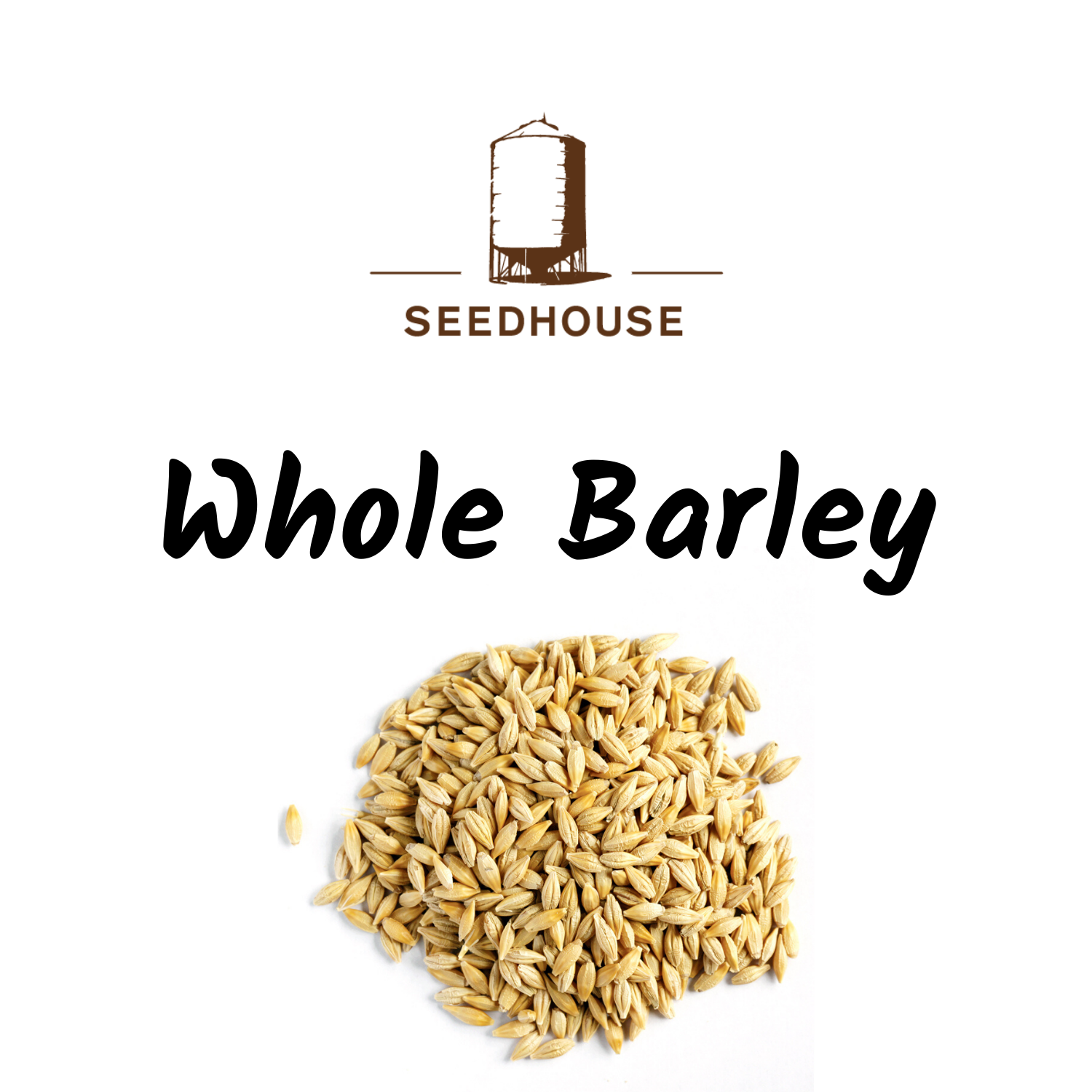 Seedhouse Whole Barley 20kg