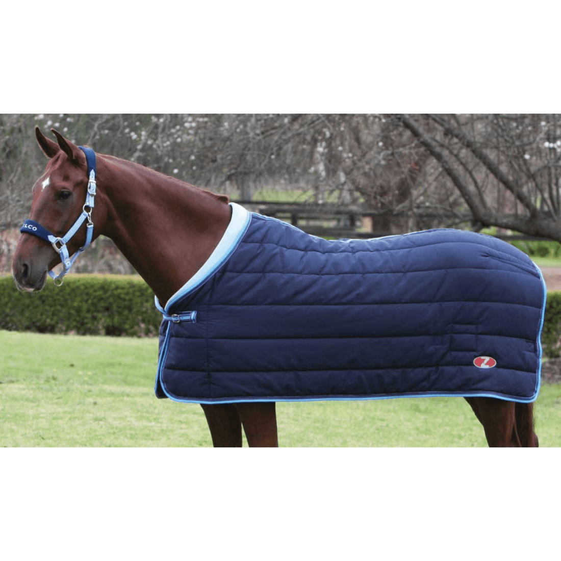 Zilco Defender Doona Rug - Saddleworld Devonport