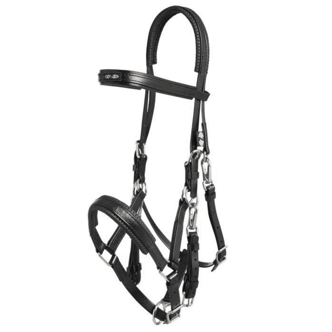 Zilco Marathon Bridle - Saddleworld Devonport