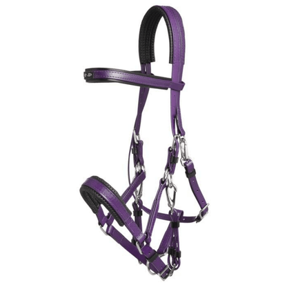 Zilco Marathon Bridle - Saddleworld Devonport